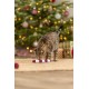 Xmas Laska cukrowa, zabawka, dla kota, plusz, z kocimiętką, 17,5 cm