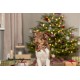 Xmas Kokarda na obrożę, dla psa, mix kolorów: zielony, bordowy, beżowy, 10 cm