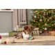 Xmas Dzwonek na sznurze, zabawka, dla psa, petrol, kauczuk naturalny/sznur, o 12/36 cm